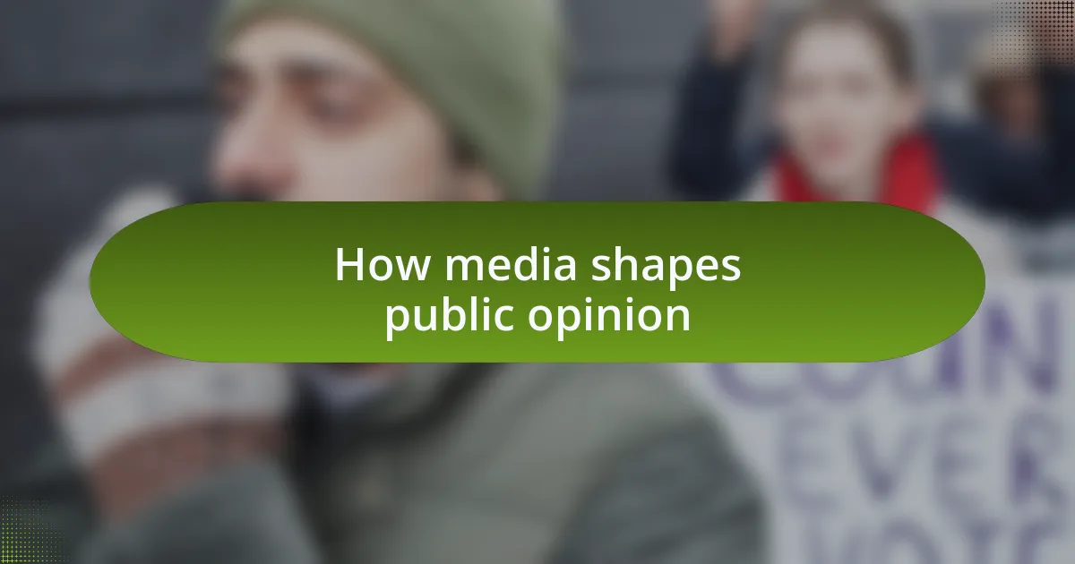 How media shapes public opinion