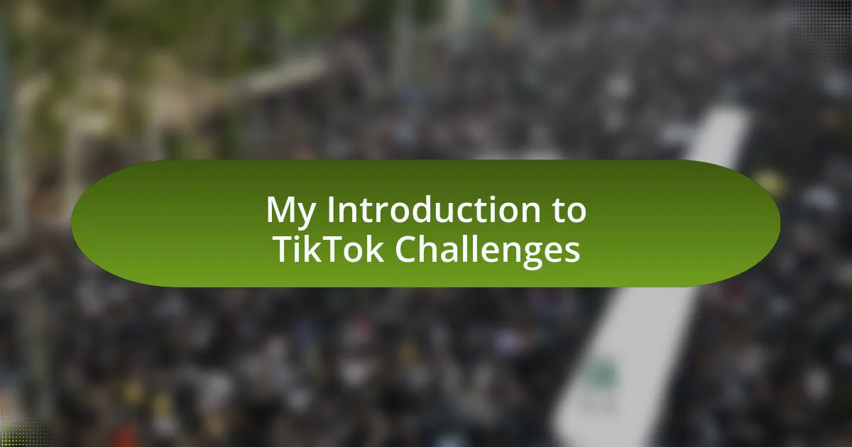 My Introduction to TikTok Challenges