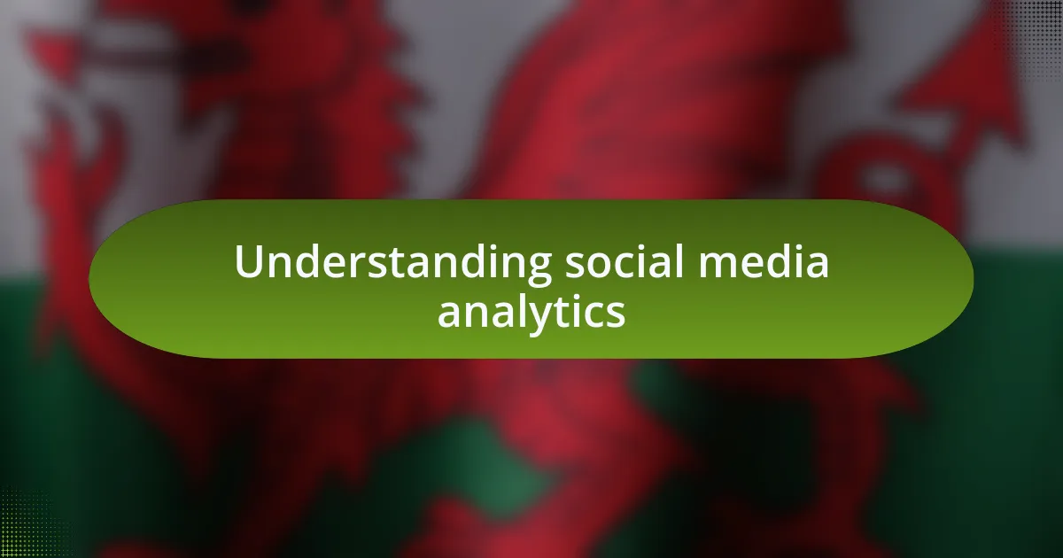 Understanding social media analytics