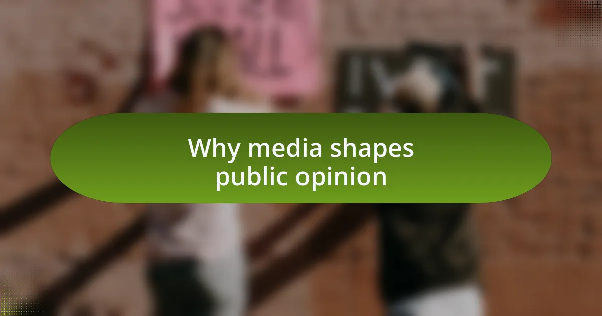 Why media shapes public opinion
